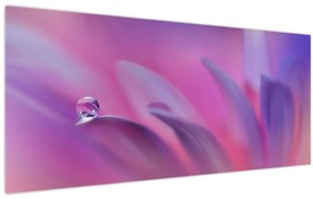 Obraz - Kvapka na kvete (120x50 cm)