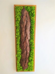 Machový obraz s kôrou 115cm x 35cm