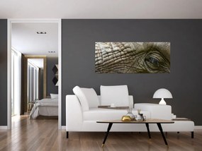 Obraz - Detailné fotografie starého slonieho oka (120x50 cm)