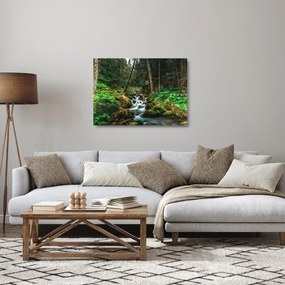 Sklenený obraz potoka v lese (70x50 cm)
