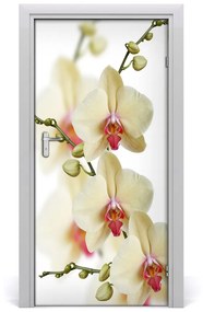 Samolepiace fototapety na dvere orchidea 85x205 cm