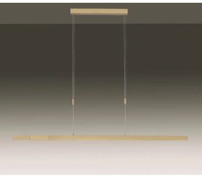 Paul Neuhaus 2568-60 - LED Stmievateľný luster na lanku ADRIANA LED/14W/230V mosadz