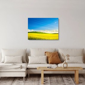 Sklenený obraz - Jarné nebo (70x50 cm)