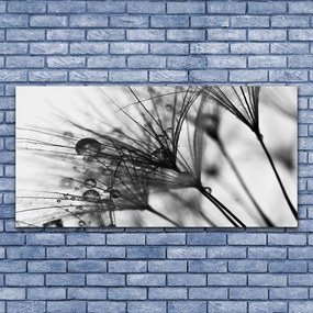 Obraz na akrylátovom skle Abstrakcie rastlina 120x60 cm