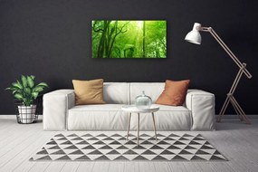 Obraz na plátne Stromy príroda 140x70 cm