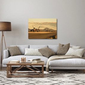 Obraz - Letectvo (70x50 cm)