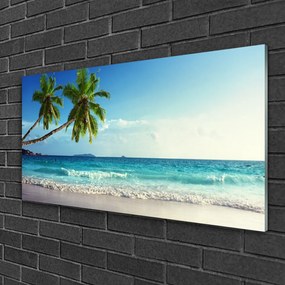 Skleneny obraz More pláž palma krajina 140x70 cm