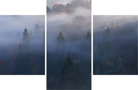 Obraz - Les v hmle, Karpaty, Ukrajina (90x60 cm)