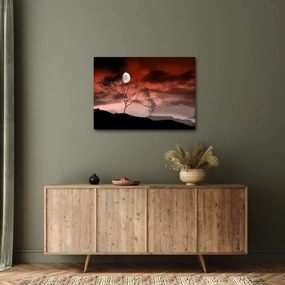 Obraz - Mesiac osvetľujúce noc (70x50 cm)