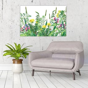 Obraz - Maľované lúčne kvety (90x60 cm)