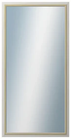 DANTIK - Zrkadlo v rámu, rozmer s rámom 50x100 cm z lišty RIVIERA Au (3100)