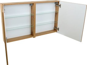 Comodo Zrkadlová skrinka bez osvetlenia Ideal OW 100 ZS
