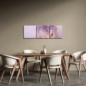 Obraz detailu kvetu ruže (s hodinami) (90x30 cm)