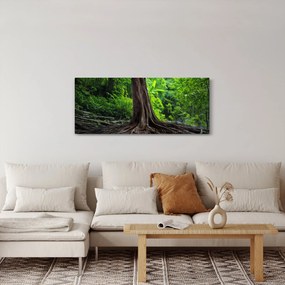 Obraz - Starý strom s koreňmi (120x50 cm)