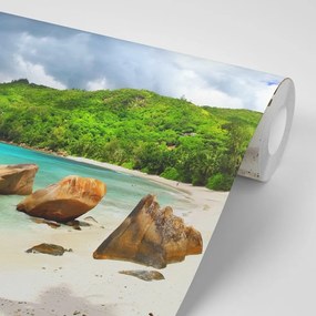 Fototapeta tropické Seychely - 450x300