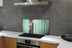 Nástenný panel  Zaglądający cat 125x50 cm