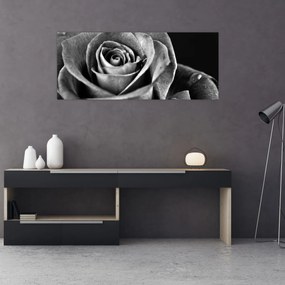 Obraz - Ruža, čiernobiela (120x50 cm)