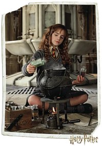 Umelecká tlač Harry Potter - Hermione Granger, (26.7 x 40 cm)