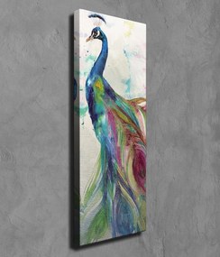 Obraz na plátne Peacock PC118 30x80 cm