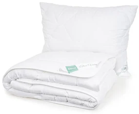 4Home Set prikrývky a vankúša Aloe Premium, 140 x 220 cm, 70 x 90 cm, 140 x 220 cm, 70 x 90 cm