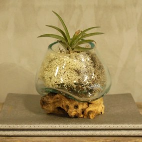 Roztavené sklo na dreve - Malá misa