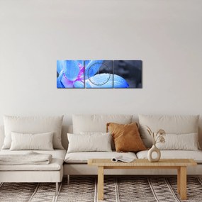 Obraz kvetu v detaile (s hodinami) (90x30 cm)