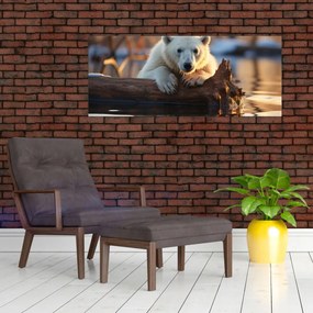 Obraz - Medveď ľadový (120x50 cm)