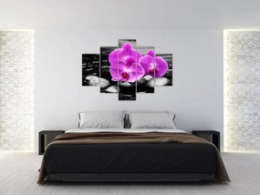 Obraz - Fialové orchidey (150x105 cm)