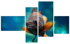 Obraz - ryba