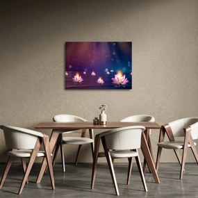 Obraz - Čarovné lekná (70x50 cm)