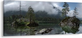 Obraz stromov v jazere (120x50 cm)