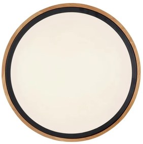 Globo 41764-12 - LED Stropné svietidlo BRUNO LED/12W/230V 307 mm 3000/4500/6000K