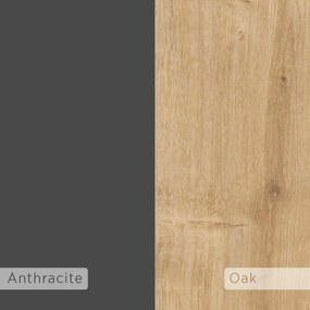 Designová knižnica TRINI, dub / antracit