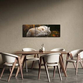 Obraz - Odpočívajúci vlk (s hodinami) (90x30 cm)