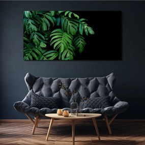 Obraz canvas listy rastlín