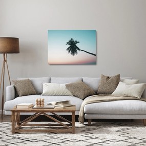 Sklenený obraz - Palma na Bali (70x50 cm)