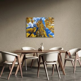 Sklenený obraz - Aspen (70x50 cm)