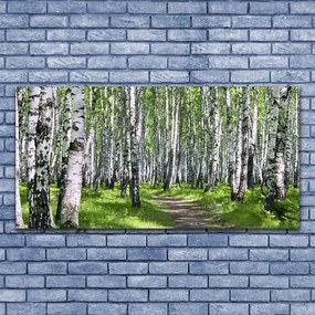 Obraz na akrylátovom skle Les chodník príroda 120x60 cm