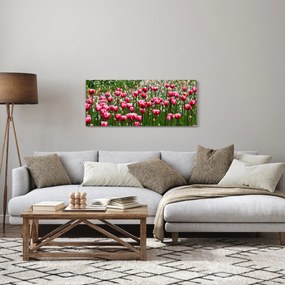 Obraz tulipánov (120x50 cm)
