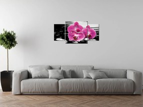 Gario Obraz s hodinami Krásna orchidea medzi kameňmi - 3 dielny Rozmery: 90 x 70 cm