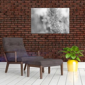 Obraz - Boho pampas grass (90x60 cm)