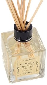 Aroma difuzér Elegant 100ml AP: Zelený bambus