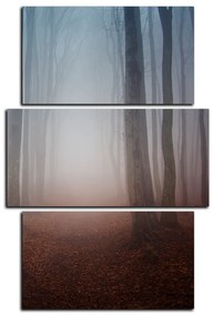 Obraz na plátne - Hmla v lese - obdĺžnik 7182C (90x60 cm)