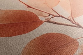 Obraz vetvičky listov Peach Fuzz