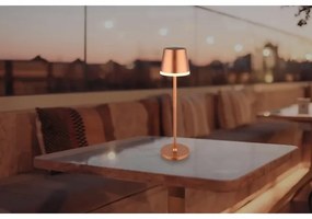 Globo 36637RM - LED Solárne svietidlo LED/0,6W/3V 3000K IP44 medená