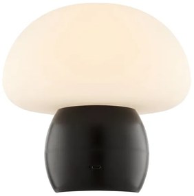 Brilliant - LED Stmievateľná nabíjateľná stolová lampa DUPIS LED/2W/5V 2700K čierna