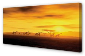 Obraz canvas Strom mraky neba žirafa 140x70 cm