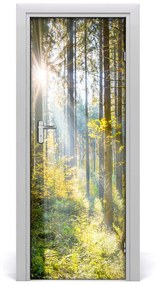 Fototapeta na dvere slnka v lese 95x205 cm