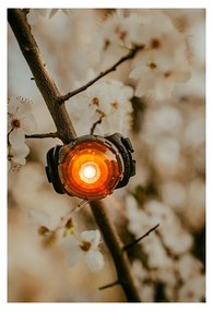 LED svetlo na obojok Amber – Orbiloc