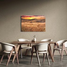 Obraz pole (90x60 cm)